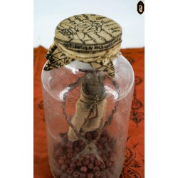 A robotic amulet of ancient people Ajarn Loi's disciple line The legend of the amulet that can be really touched Even the teacher himself had a direct experience.