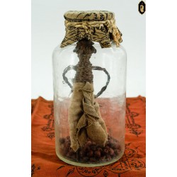 A robotic amulet of ancient people Ajarn Loi's disciple line The legend of the amulet that can be really touched Even the teacher himself had a direct experience.