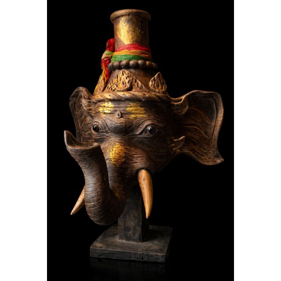 หยุดเลื่อนก่อน… ชุดนี้ “ลงมาจากหิ้งครู” ครบ 5 สี