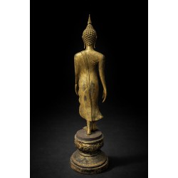 ของดีสำหรับคนที่ชีวิตต้องก้าวหน้า