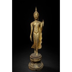 ของดีสำหรับคนที่ชีวิตต้องก้าวหน้า