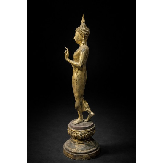 ของดีสำหรับคนที่ชีวิตต้องก้าวหน้า